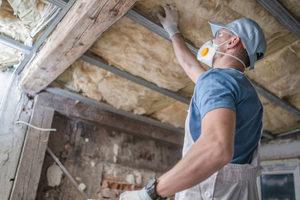 Best Residential Insulation in Dickson, TN